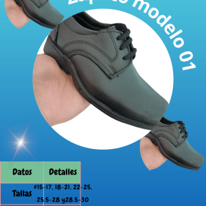 Zapato modelo 01