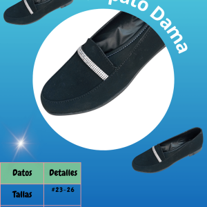 Zapato modelo dama